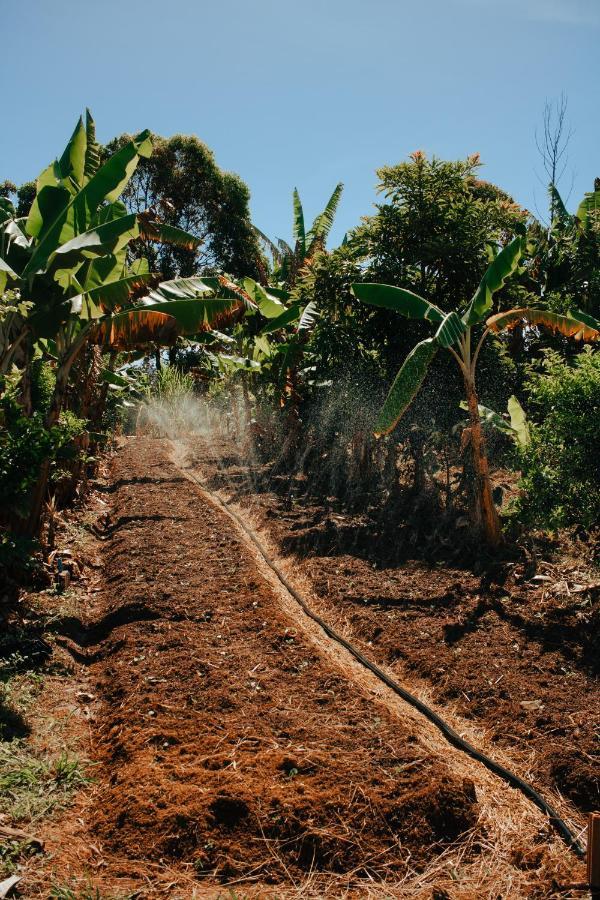 Hotel Vegano Bona Espero Alto Paraíso de Goiás エクステリア 写真